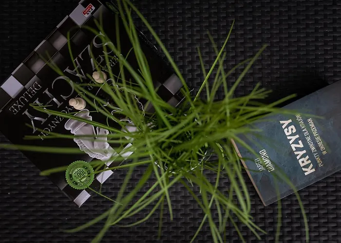 Apartment Blue Sky Perla C1 Invest *